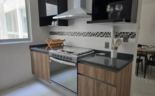 Ultimo departamento nuevo en venta en del valle norte