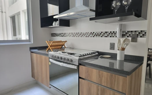 Ultimo departamento nuevo en venta en del valle norte