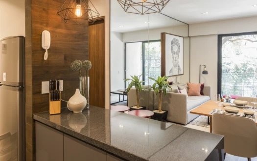 Departamentos de lujo en colonia del valle