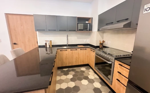 Departamentos nuevos en la Colonia Juárez